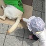 Profilbild von まめしばっち