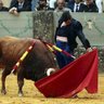 Profilbild von Carlos Sánchez