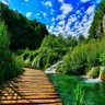 Фото профиля 4toIntermedio