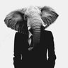 snabelmannen's profile picture