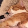 Mogski1 profil fotoğrafı