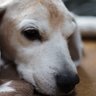 Roow's profile picture