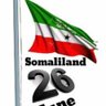 Hassan H Mohamed's profile picture