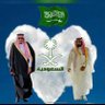 Profilbild von الـخـلاوـي .