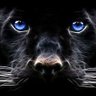 Stefa2512's profile picture