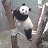 なにわじぇんぬ 的头像