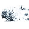 Snow profil fotoğrafı