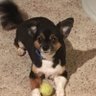 Renae profil fotoğrafı