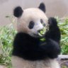 na.'s profile picture