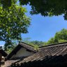 漂流的牛干巴 profil fotoğrafı