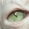 Patrick niven's profile picture
