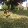 Waterpolista profil fotoğrafı