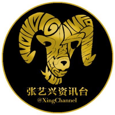 XingChannel's profile picture