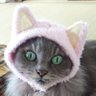 かまっちょ 的头像
