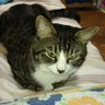 タカエ profil fotoğrafı