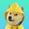 Johny Saks's profile picture