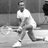 rod lever profil fotoğrafı