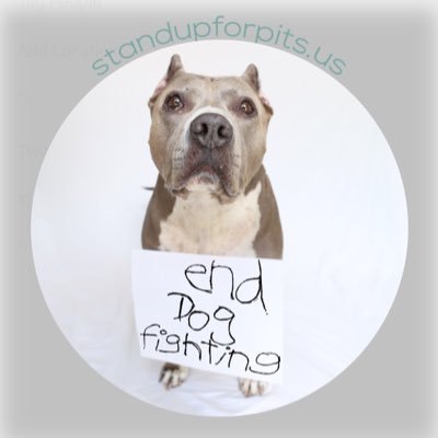 SUFPFoundation's profile picture