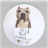 Profilbild von Stand Up For Pits Foundation, Inc