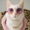 NoMerzi's profile picture