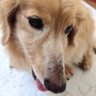 nobuoF241 profil fotoğrafı