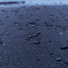 ã ðŒ ç倎å