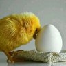 حمود القرني profil fotoğrafı