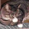 Profilbild von nosoupforyou