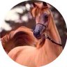 ๐ธ๐ฆabdullah .O profil fotoฤrafฤฑ