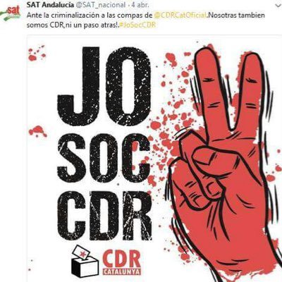 Jordi Guarro Cot's profile picture