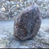 life under a rock 的头像