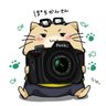 Profilbild von ぽちかん🐾