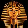 Profilbild von king tut