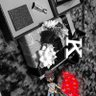 🌹 *ابـو فــادي الــفــهــد *🌹's profile picture