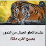 Hazem Adel 的头像