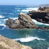 EAdams NP, MHP, NNP profil fotoğrafı