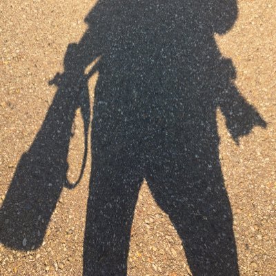 Bryan Passifiume's profile picture