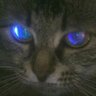 D1M4's profile picture