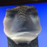 ciastek profil fotoğrafı