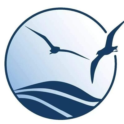 nswebcams's profile picture