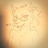Profilbild von 猫さん