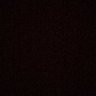 🐱's profile picture