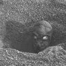 MolemanKingofCTATunnels's profile picture