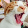 Newsoooul 的头像