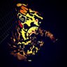 山﨑友詩 profil fotoğrafı