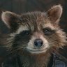Teddy Boulogne profil fotoğrafı