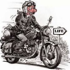 RoyalEnfieldu's profile picture