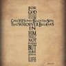 John 3:16 的头像