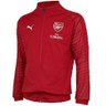 Tom (Wenger Boy)'s profile picture