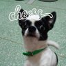 tarokid. profil fotoğrafı